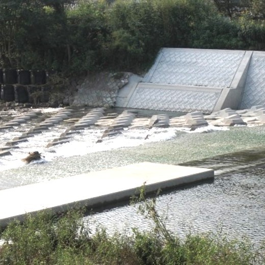 災害復旧事業置本頭首工復旧工事